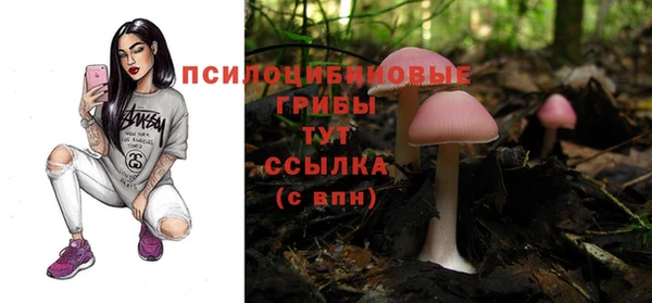 круглые Алзамай