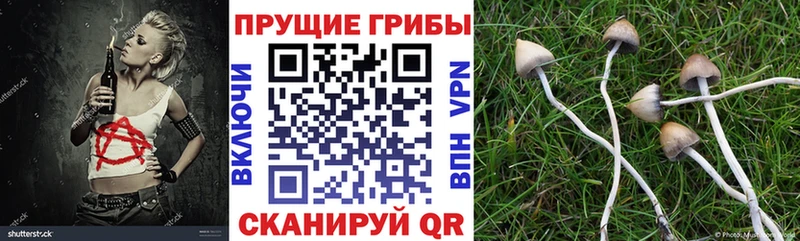 купить наркотик Жигулёвск Псилоцибиновые грибы мухоморы